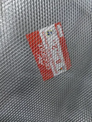 Expanded Mesh