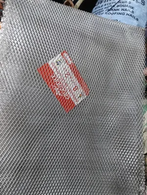 Expanded Mesh