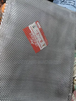 Expanded Mesh