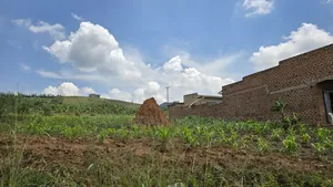 Kakiri Simbamanyo Estate
