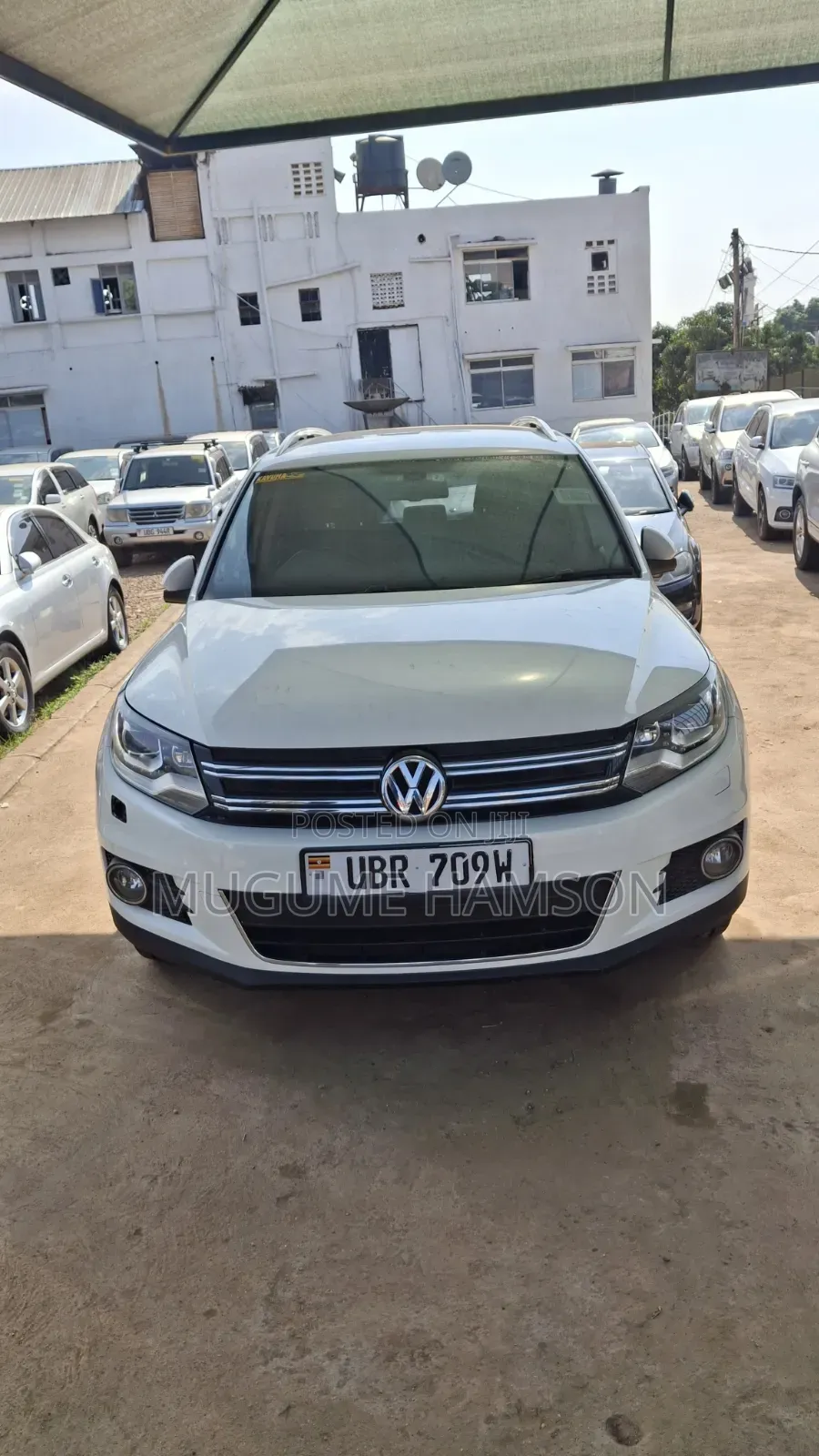 Volkswagen Tiguan 2012 White