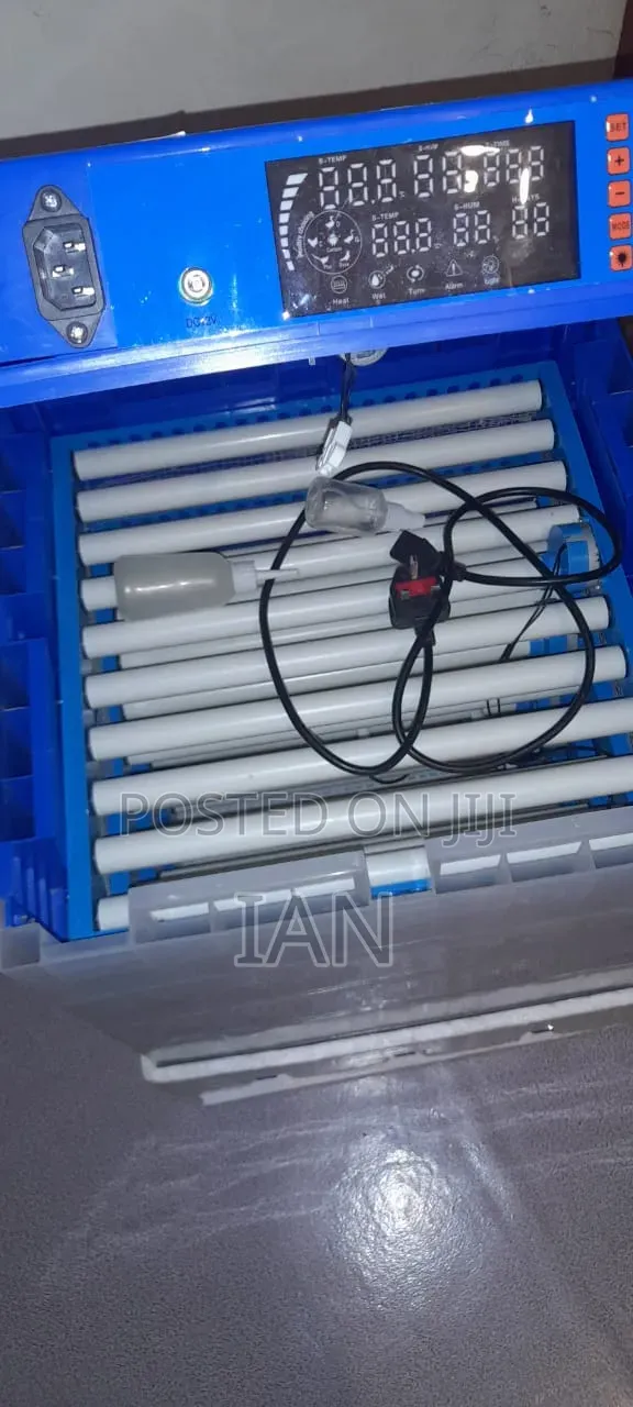 Eggs Incubator