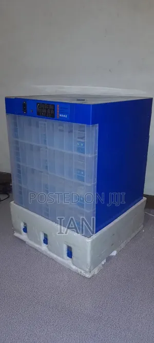 Eggs Incubator