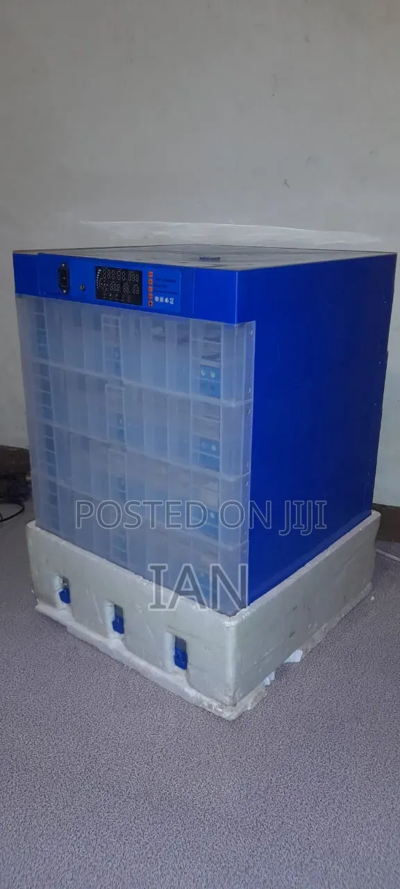 Eggs Incubator