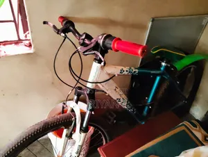 Twilight Bike 2026