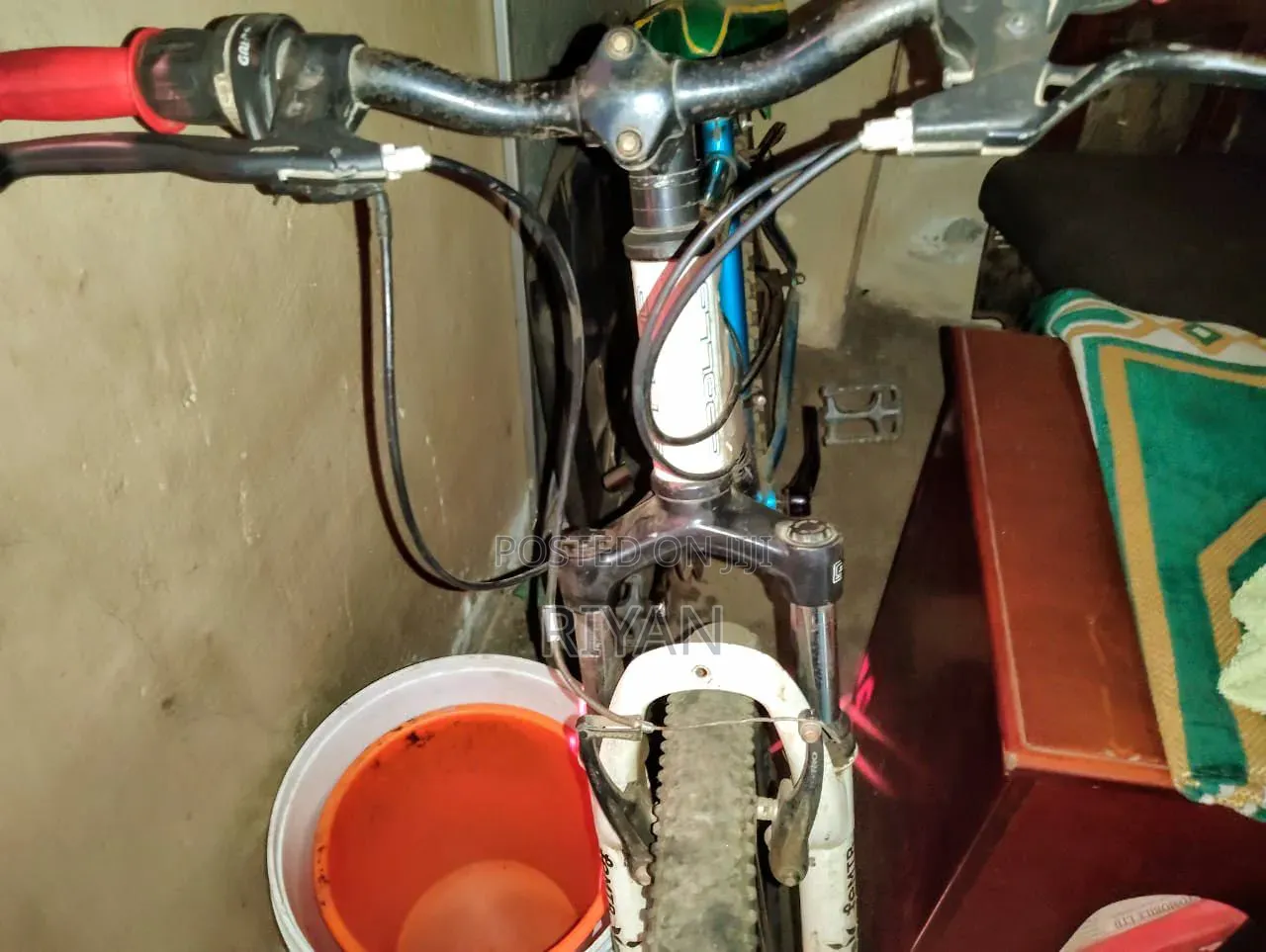 Twilight Bike 2026
