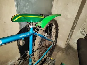 Twilight Bike 2026