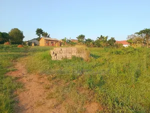 Plot for Sale 60x30ft at 8m Ugx Sentema Town Bukugulu