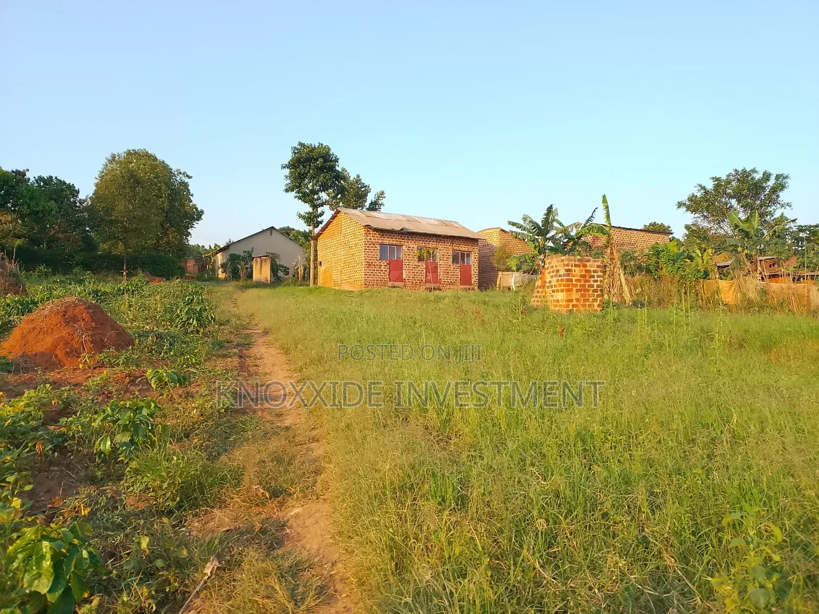 Plot for Sale 60x30ft at 8m Ugx Sentema Town Bukugulu