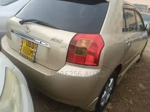 Toyota Allex 2001 Gold