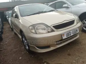 Toyota Allex 2001 Gold