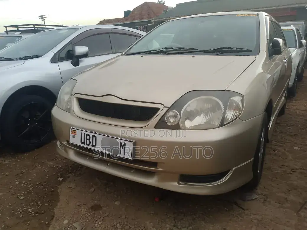 Toyota Allex 2001 Gold