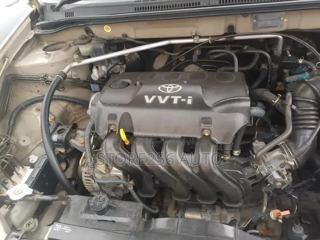 Toyota Allex 2001 Gold