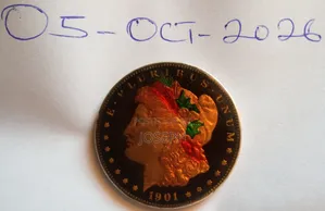 Rare 1901 USA Morgan Antique Collectible Coin -120 Year Old Piece