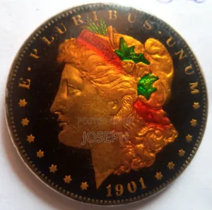 Rare 1901 USA Morgan Antique Collectible Coin -120 Year Old Piece