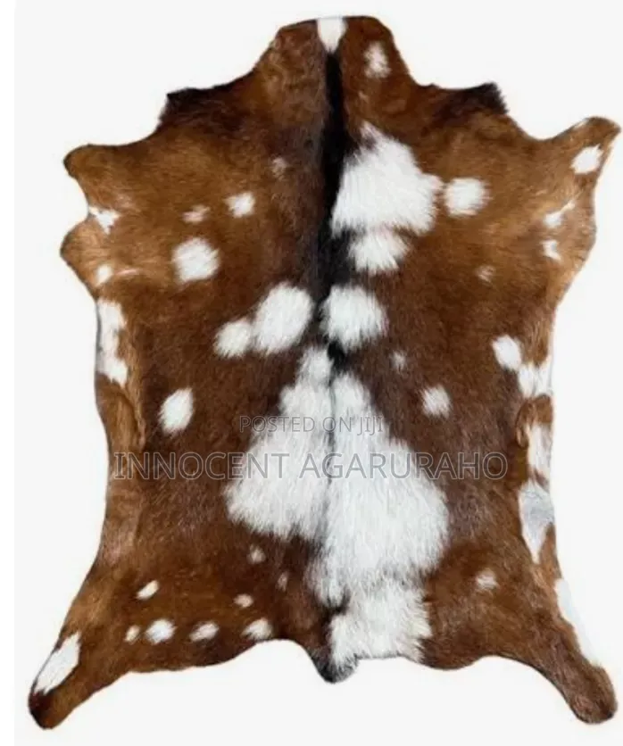 Goat Skin /Herds