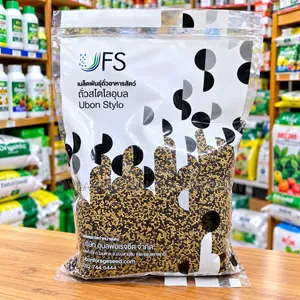 Ubon Stylo Forage Seed – Quality Animal Feed Grass Seed