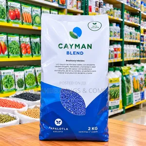 Cayman Blend Brachiaria Hybrid Pasture Grass Seeds – 2kg