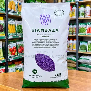 Siambaza Mombaza Grass Seeds – Panicum Maximum, 2KG