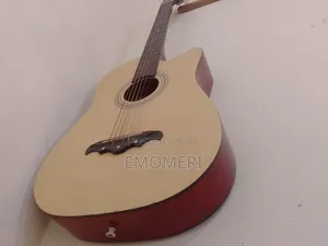 Acoustic Guitar