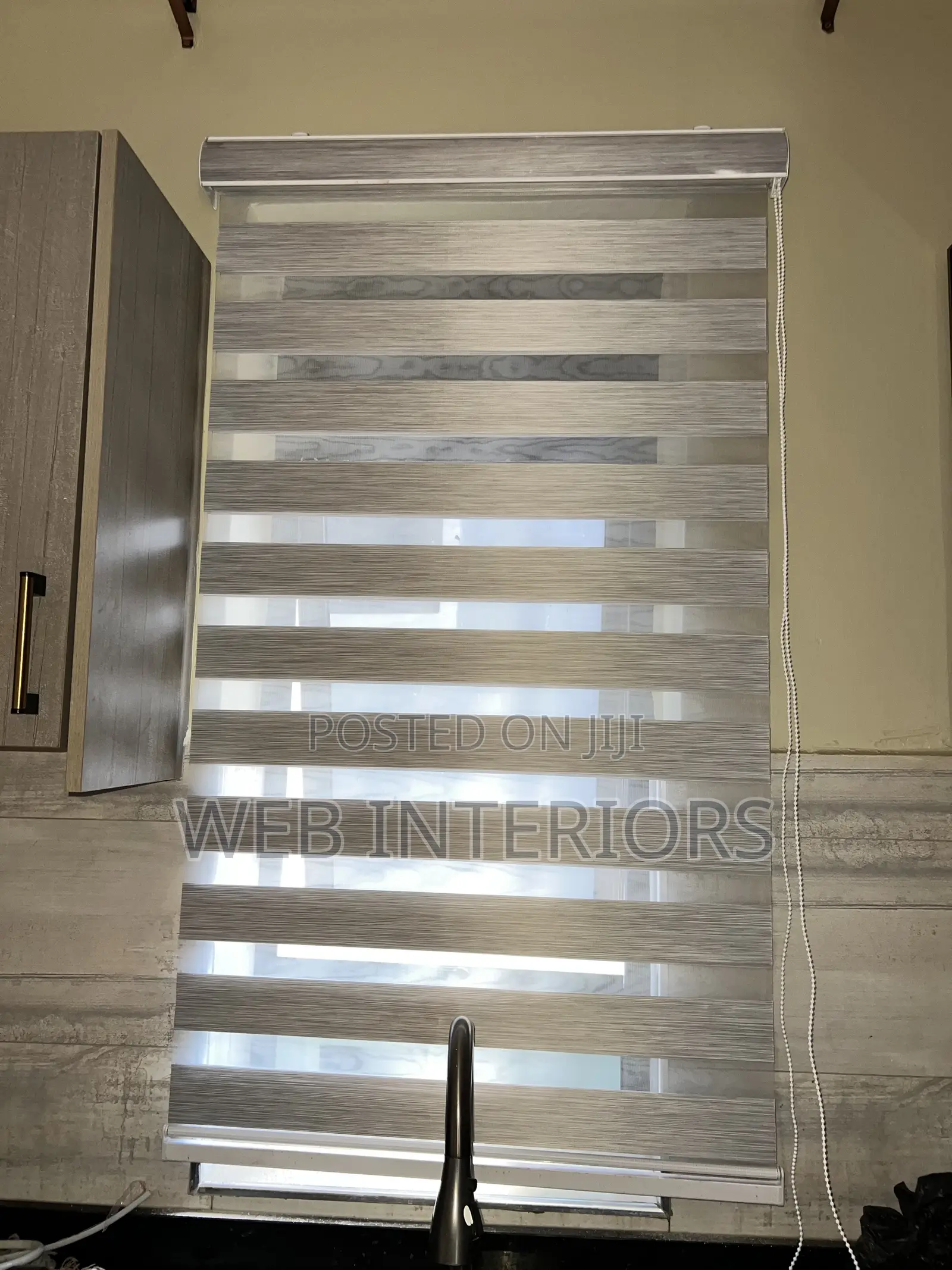 Light Grew Zebra Blinds