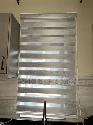 Light Grew Zebra Blinds