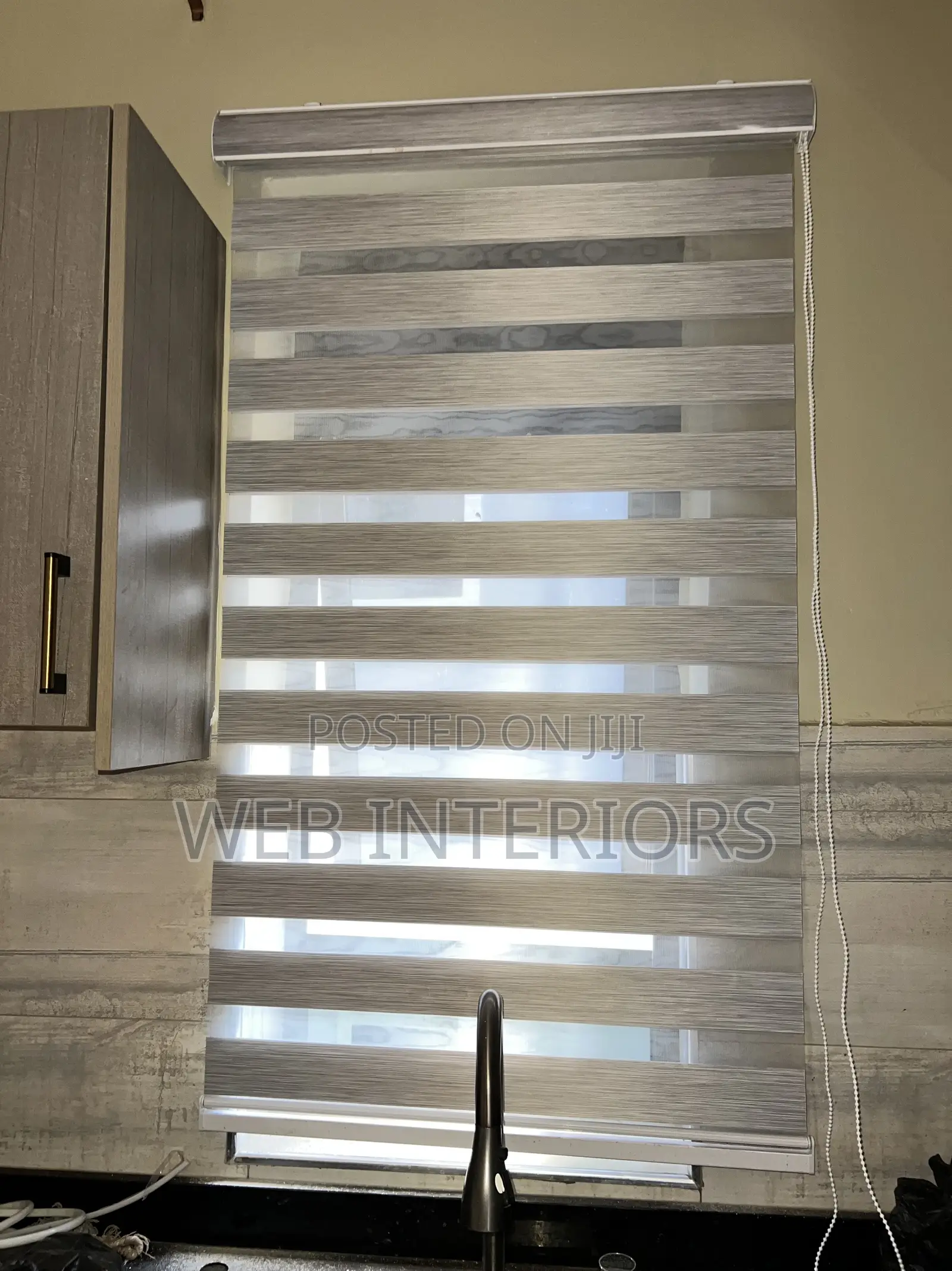 Light Grew Zebra Blinds