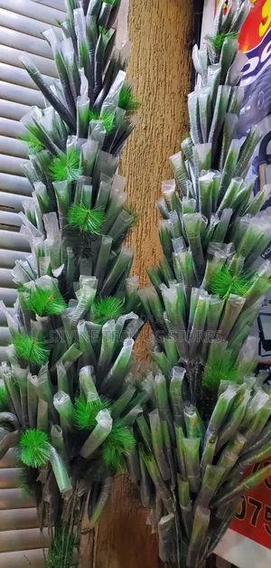 2.1 Meter Plain Green Pine Christmas Tree