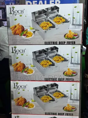 12L Commercial Electric Deep Fryer (Double Tank)