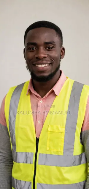 Socket & Switch Repair & Installation Bulenga