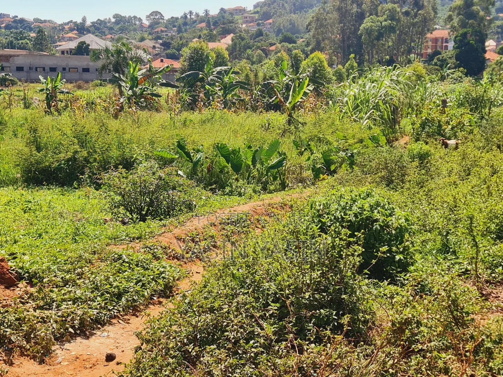 Plot on Sale at Bweya Kajjansi