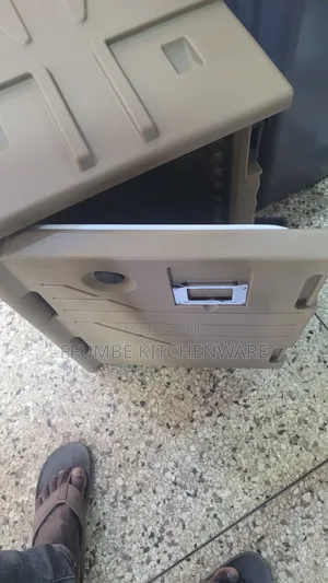 Insulated Food Container or Food Carrier and Warmer