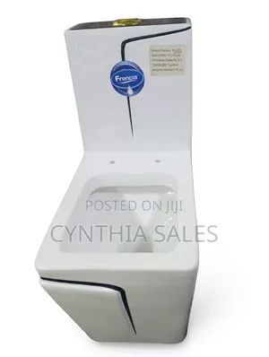 Seating Toilet With Good Quality Complete Set