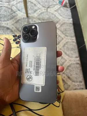 Apple iPhone 13 Pro Max 128 GB Gray