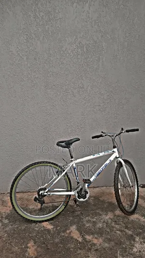 Adult Bicycle for Sale