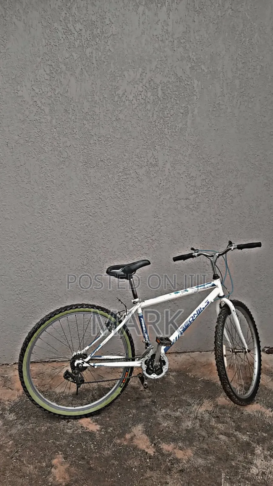 Adult Bicycle for Sale