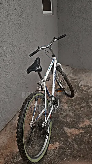 Adult Bicycle for Sale