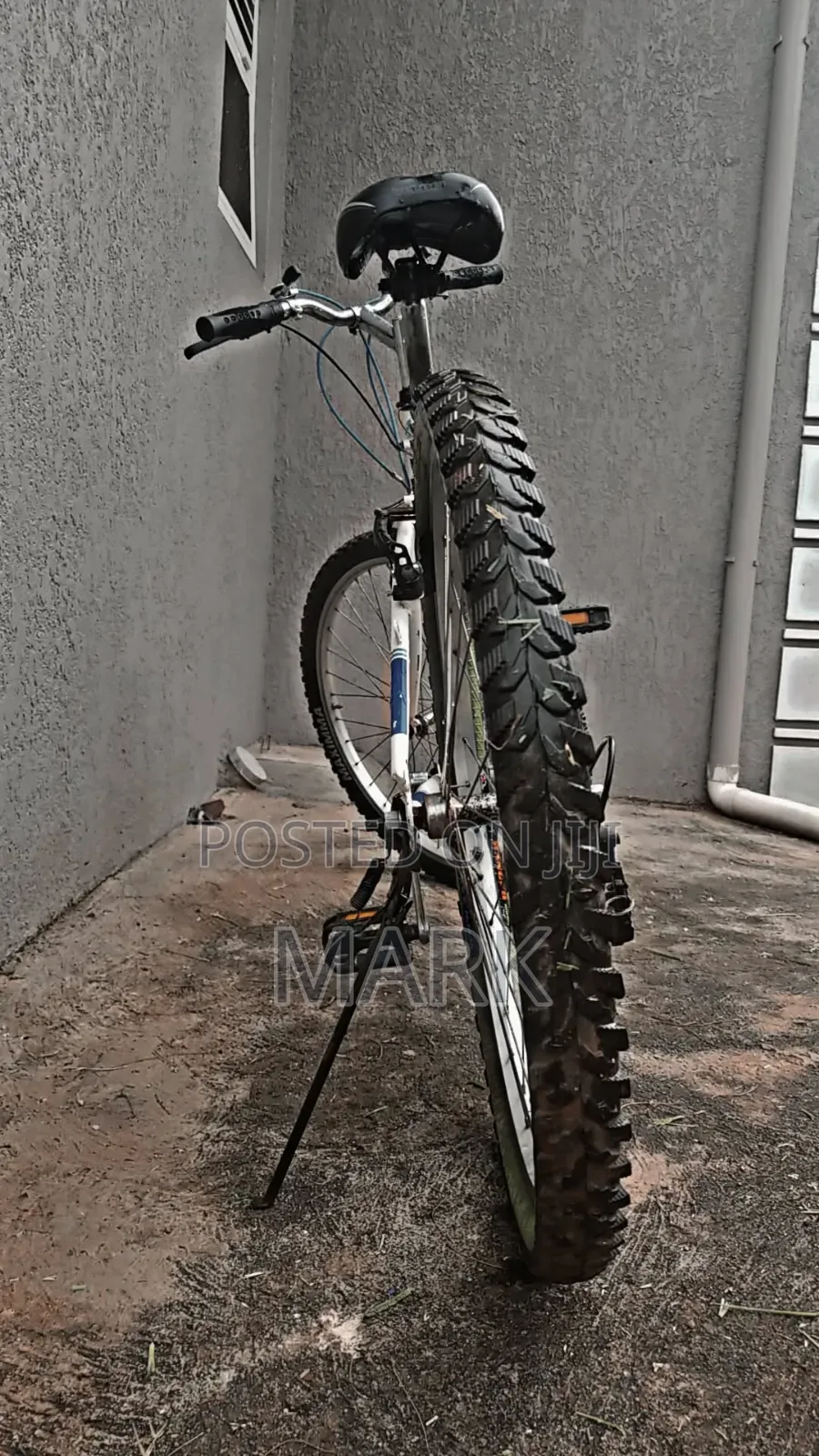 Adult Bicycle for Sale