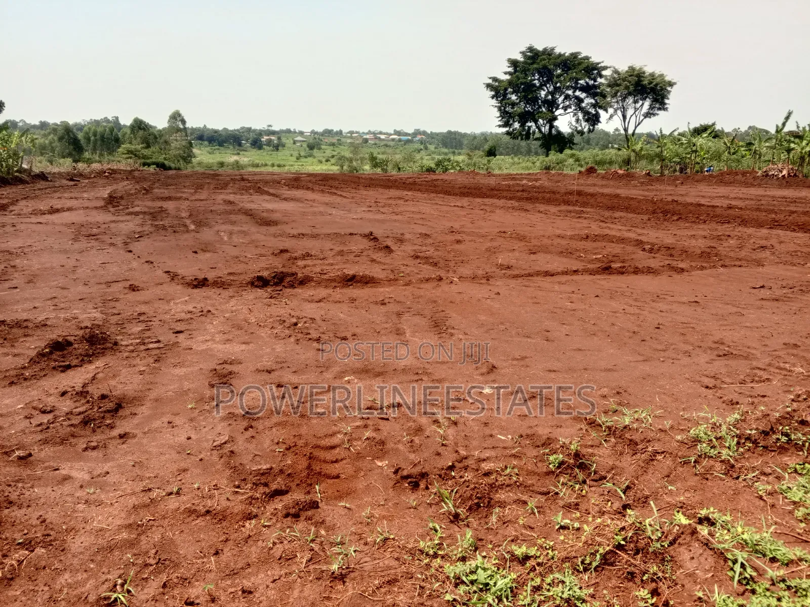 Gayaza-Busika Estate