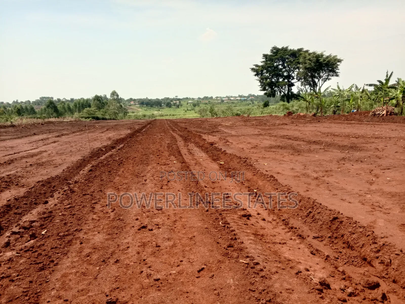 Gayaza-Busika Estate