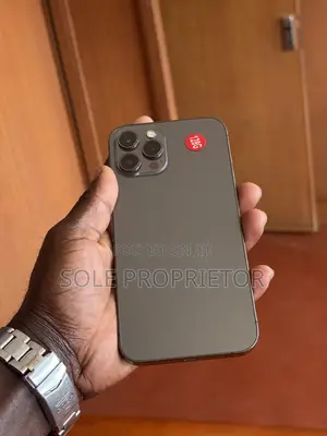 Apple iPhone 12 Pro Max 128 GB Gray