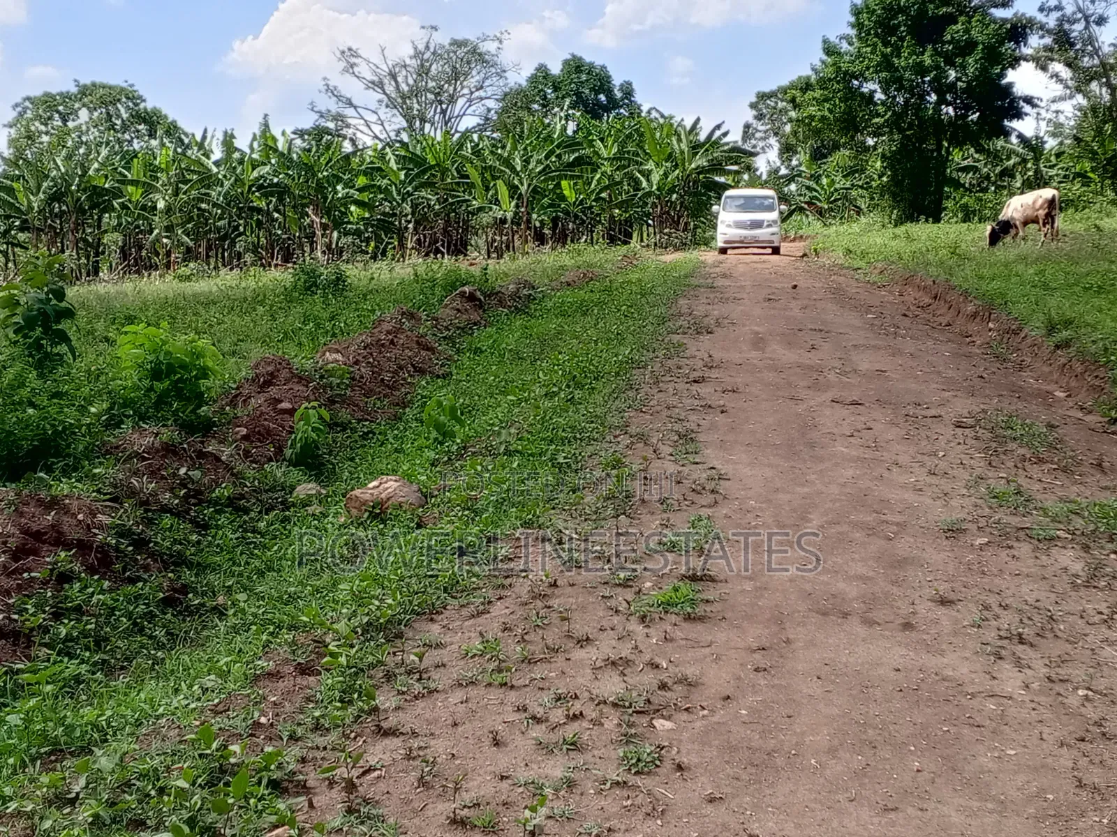 Gayaza-Kiwenda Estate at 16M