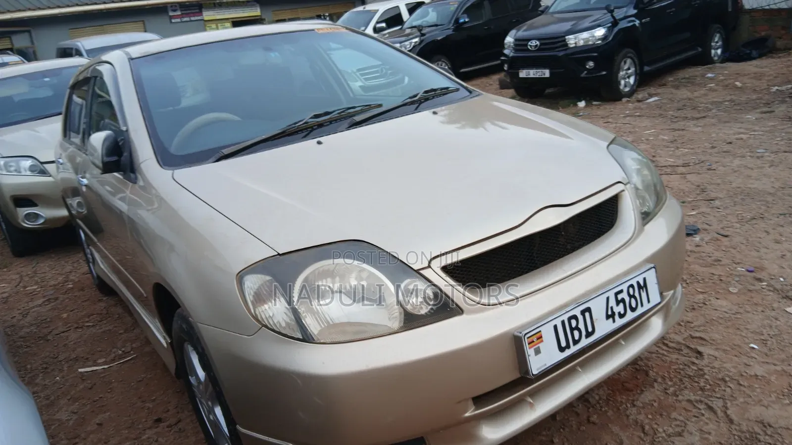 Toyota Allex 2006 Gold