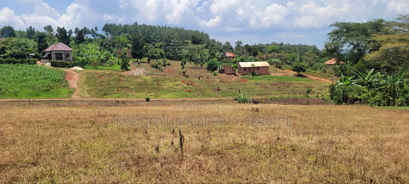 Namayumba Roadside Estate