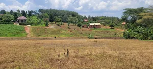 Namayumba Roadside Estate