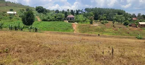Namayumba Roadside Estate