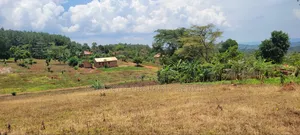 Namayumba Roadside Estate