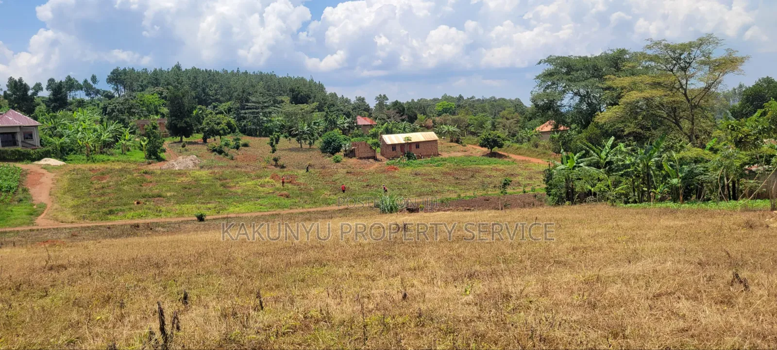 Namayumba Roadside Estate
