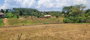 Namayumba Roadside Estate