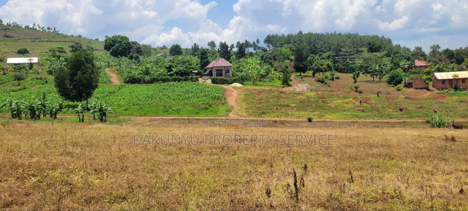 Namayumba Roadside Estate